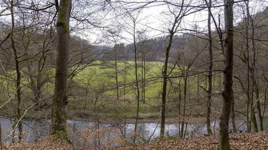 Laut Projektbeschreibung der Stiftung Natur und Umwelt (SNU) erhält die Nister-Aue zwischen Marienstatt und Astert im Laufe der
