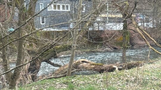 Laut einheimischen Spaziergängern soll das Kind an dieser Stelle in die Sieg geraten sein.