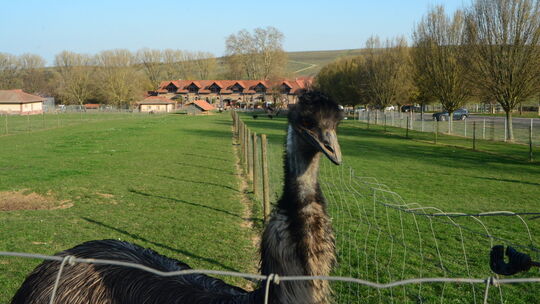 Links des Tierparks, der erhalten bleibt, soll das Hotel entstehen.