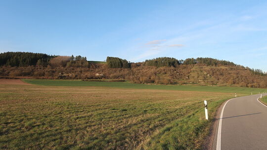 Das neue Staudernheimer Baugebiet soll nun erschlossen werden. Ortsgemeinde und Volksbank Rhein-Nahe-Hunsrück planen hier 49 Bau