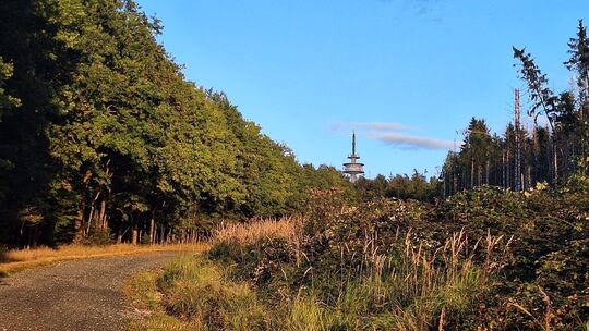Blick im vergangenen Herbst in Richtung Alarmstange vom Wanderweg auf die Montabaurer Höhe von Hillscheid aus.
