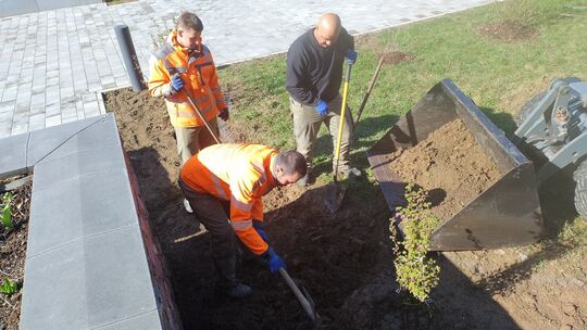 Die vorgefundene Erde hinter dem Hospiz passt nicht zur den Stauden, die hier gepfalnzt werden. Darum tauschen Michael Schnorbah