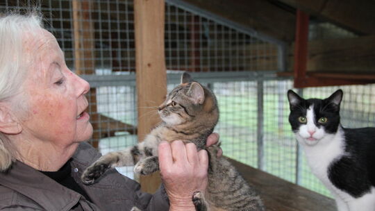 Marianne Luthmer widmete dem Tierschutz einen großen Teil ihres langen Lebens. Nun ist sie im stolzen Alter von 90 Jahren versto