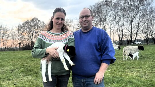 Mario ud Daniela Jung sind stolz auf ihre Dorperschafzucht.