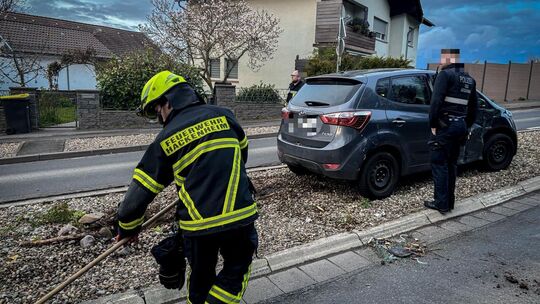 Einsatzkräfte der Feuerwehr Hackenheim sichern die Unfallstelle nach dem Zusammenstoß zweier Fahrzeuge auf einer Verkehrsinsel.