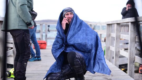 Wal an der Ostseeküste gestrandet Wal an der Ostseeküste gestrandet