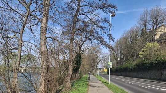 Bodenrisse wie hier auf Höhe des historischen Kemperhof-Gebäudes sind ein ständiger Wegbegleiter entlang des Leinpfads.