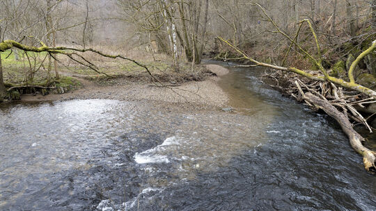 Im Namen des Landes plant die Stiftung Natur und Umwelt (SNU) die Renaturierung der Nister im Bereich der gut 20 Hektar großen A