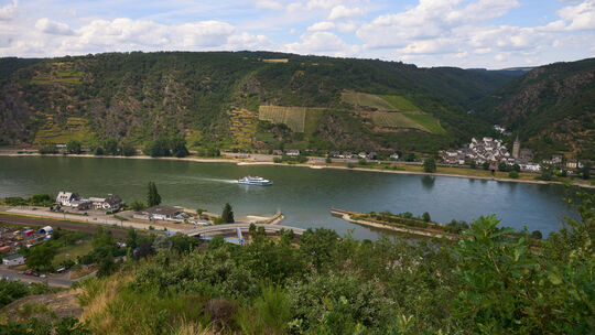 An dieser Stelle ist bisher der Bau der Mittelrheinbrücke geplant.