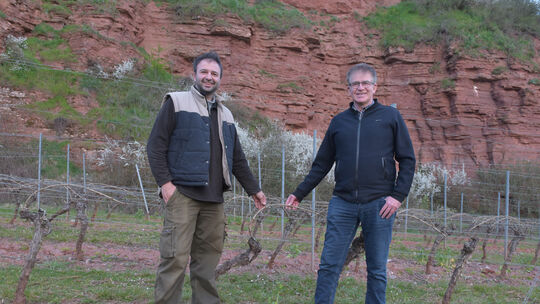 Weinbaupräsident Rainer Klöckner (rechts) und sein Stellvertreter Jakob Schneider (links), hier in einem Weinberg am Guldentaler
