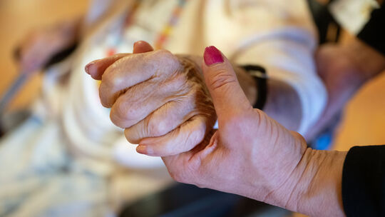 Eine Physiotherapeutin hält die Hand einer Pflegeheimbewohnerin (Symbolfoto). Pflegefachkräfte in Rheinland-Pfalz stimmen derzei