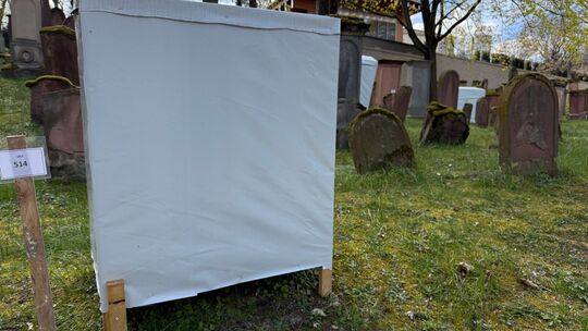Grabsteine auf jüdischem Friedhof Mainz werden saniert Grabsteine auf jüdischem Friedhof Mainz werden saniert