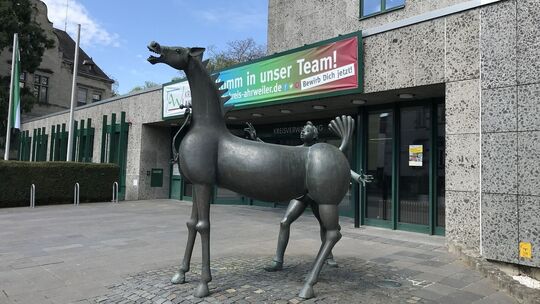 Das Kreishaus in Ahrweiler: Im Kreis Ahrweiler bleibt die Gründung eines Gewässerzweckverbandes ein anhaltendes Thema.