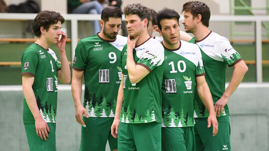 Das Klassenziel haben die Westerwald Volleys (von links Moritz Kilp, Manuel Lohmann, Frieder Reinhardt, Peter Nogueira Schmid un