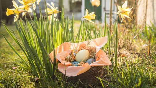 Ostereier in einem Körbchen stehen in einem Garten