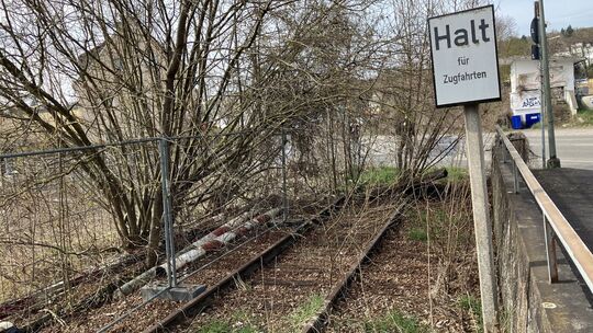 In der Diezer Stadtmitte schlummern die letzten Meter der Artalbahn zum Bahnhof in einem Dornröschenschlaf. Weitere Teile der St