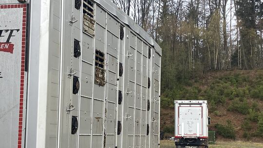 Der Unglücksanhänger und auch das Zugfahrzeug sind zunächst auf einem Firmengelände abgestellt, die Tiere wurden umgeladen und a