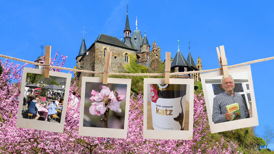 Der Frühling ist da! Einige Veranstaltungen stehen im April an, ob Weinwanderungen, Straßenfeste oder Märkte.