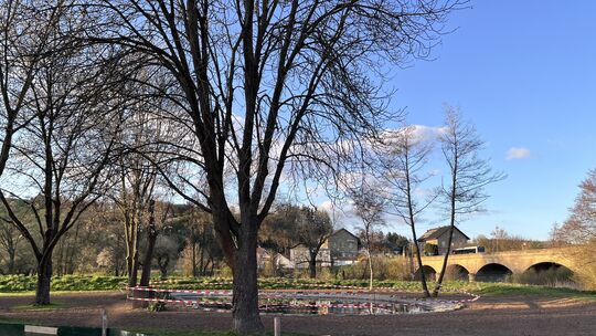 Die alte Teichfolie wurde ausgetauscht und neue Pflanzen haben bereits Einzug im sanierten Laichgewässer auf der Tuchbleiche gef
