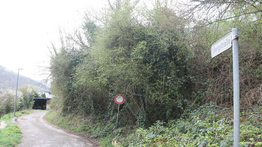 In der Bad Emser Bergstraße steht die erstmalige Erschließung an, was Kosten für die Anlieger bedeutet. Der Stadtrat will aber d