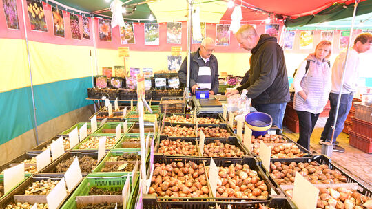 Der Bad Breisiger Zwiebelsmarkt verdankt seinen Namen unter anderem der Zwiebel, die wie hier im Mittelpunkt des Markttreibens s