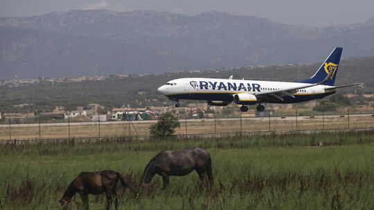 Ein Ryanair-Jet auf Mallorca - die Chancen, dass er aus dem Hunsrück kommt, stehen gar nicht so schlecht. Palma ist eines der am