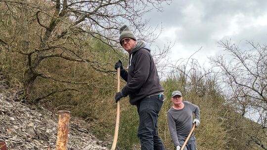 Die Buchsbäume sind zwar kahlgefressen, doch den Pfad haben die "Alten alten Herren" aus Müden wiederhergerichtet.