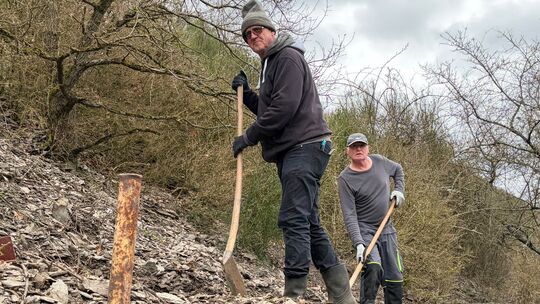 Die Buchsbäume sind zwar kahlgefressen, doch den Pfad haben die "Alten alten Herren" aus Müden wiederhergerichtet.