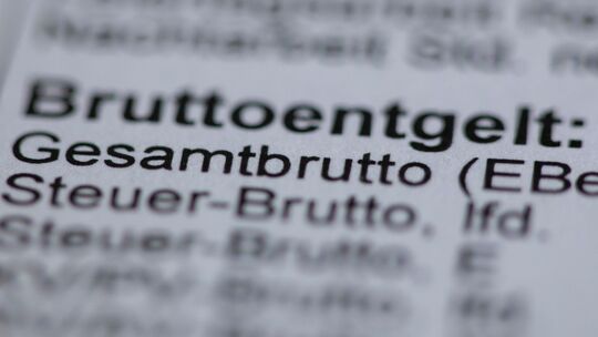 Bruttojahresverdienste