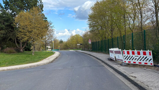 Einige Bäume stehen bereits in der Schulstraße. Auf einer Übersichtskarte ist zu sehen, wo weitere Standorte geplant sind.