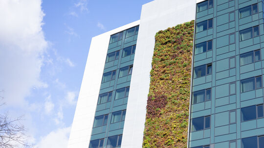 Am Hotel Premier Inn in der Koblenzer Innenstadt ist ein Teil der Fassade begrünt. In Zukunft könnte man in der Stadt mehr solch