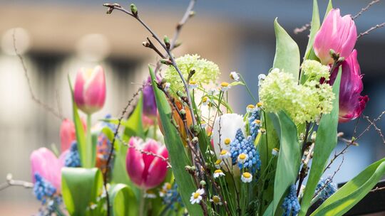 Ein bunter Frühlingsstrauß bringt frische Farben ins Zuhause und sorgt für Osterstimmung.