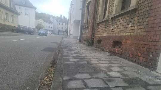 Manche machen es, manche nicht: Zur Straßenreinigung gehört auch das Entfernen von Unkraut vor der eigenen Haustür. Wie hier in