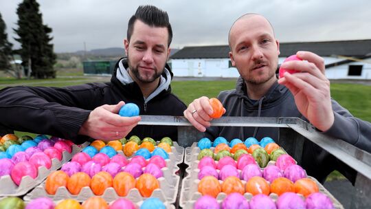 Die Eierversorgung ist gesichert! Und gefärbt wird zu Ostern natürlich auch, zeigen Andre und Axel Maur (rechts) von Maur's Deic