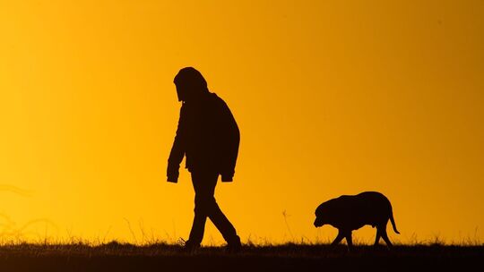 Hundespaziergang in Niedersachsen