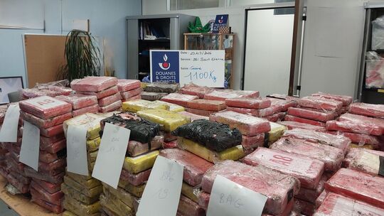 Zoll findet Kokain im Millionenwert in Blumenerde-Laster