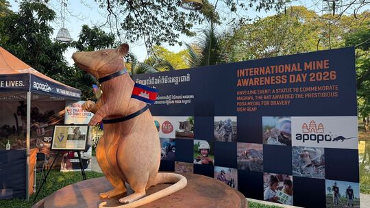Statue für weltbekannte Minensuch-Ratte Magawa Statue für weltbekannte Minensuch-Ratte Magawa
