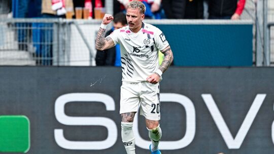 TSG 1899 Hoffenheim - FSV Mainz 05 TSG 1899 Hoffenheim - FSV Mainz 05