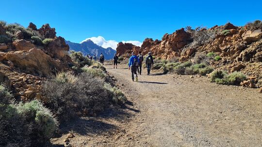 Vulkanlandschaft auf Teneriffa