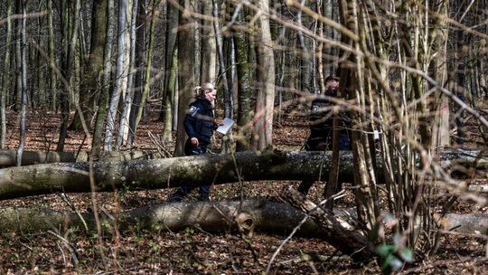 Baum umgestürzt – Drei Tote bei Flensburg