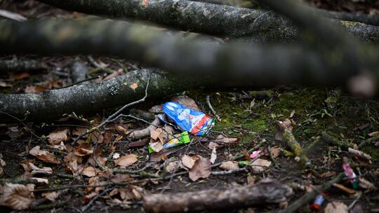 Baum umgestürzt - Drei Tote bei Flensburg
