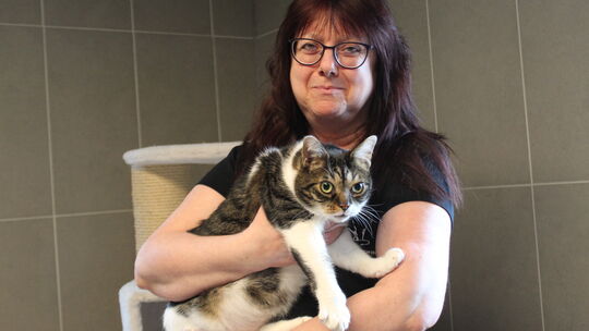 Der zutrauliche Kater Henry ist bereits seit sieben Jahren Stammgast im Tierheim der Katzenhilfe Westerwald in Bad Marienberg. D