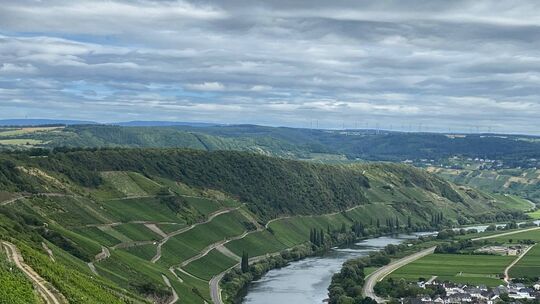 Die aufwendig zu bewirtschaftenden Steillagen zeichnen die Mosellandschaft aus.