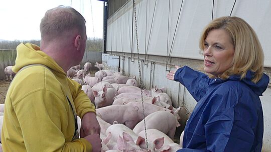 Schweinemast ist eines der Standbeine auf dem Bauernhof der Familie Schnurr in Niederhosenbach.