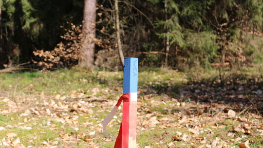 Die Markierung für eines der Windräder steht bereits seit einigen Monaten im Wald oberhalb von Bad Sobernheim.