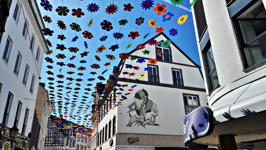 So sieht sie aus: Die Blumengirlande hängt im vergangenen Jahr erstmals im Koblenzer Entenpfuhl (Bild) und soll auch dieses Jahr