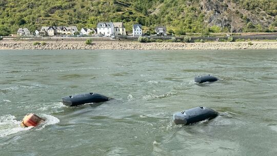 Die ersten Energyfische schwimmen im Rhein bei St. Goar, gegenüber von Ehrenthal - und liefern Strom.