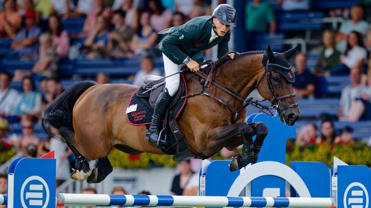 Tom Schewe Tom Schewe