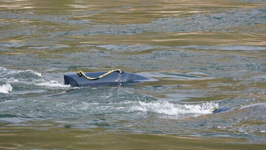 Energyfish Schwarmkraftwerk im Rhein