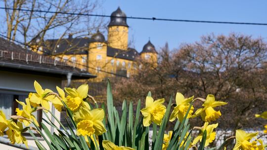 Wetter in Rheinland-Pfalz